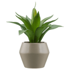 Artificial Plant in a Pot
