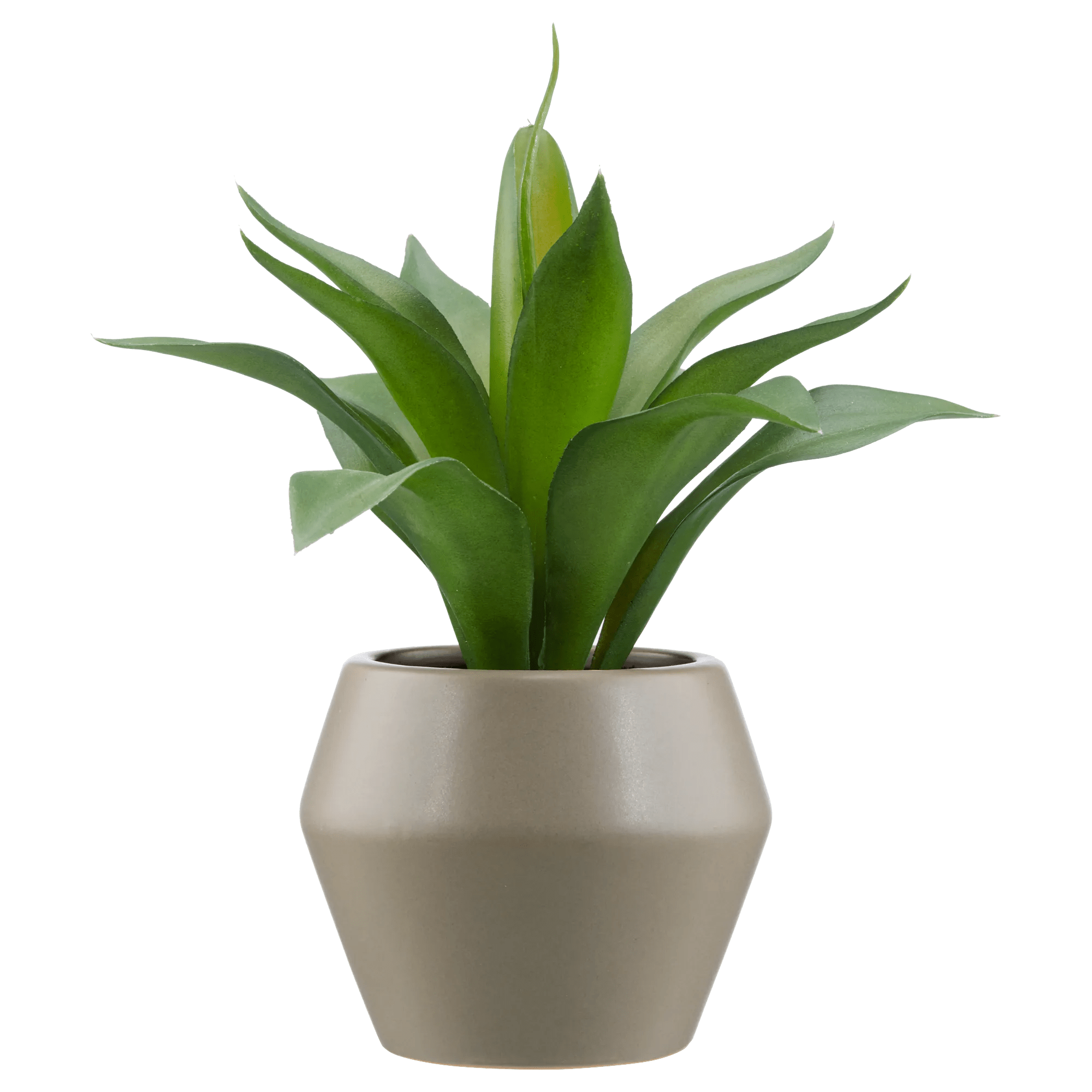 Artificial Plant in a Pot