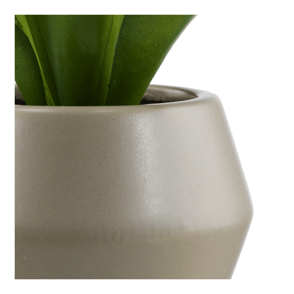 Artificial Plant in a Pot