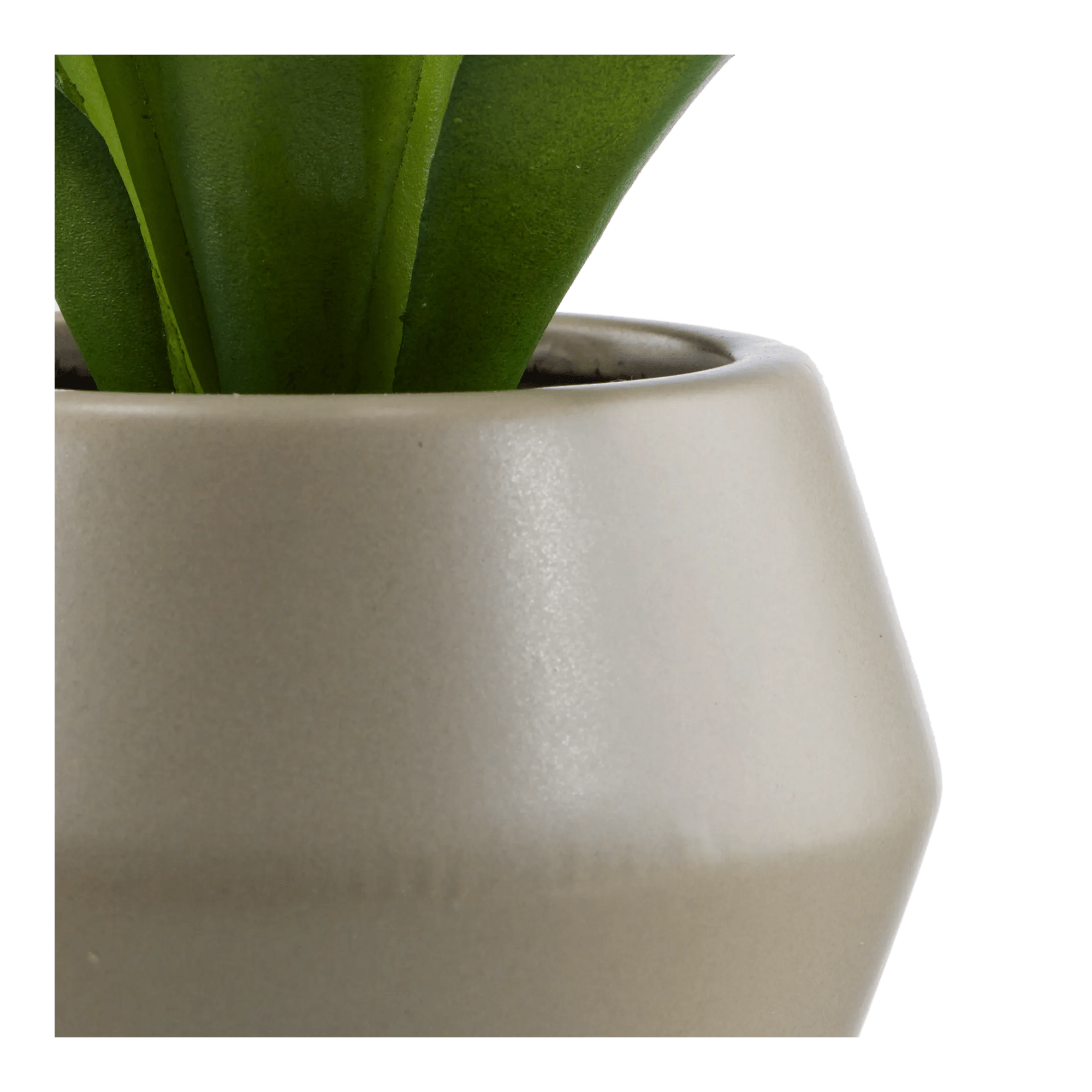 Artificial Plant in a Pot