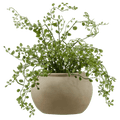 Artificial Fern