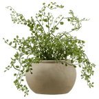 Artificial Fern