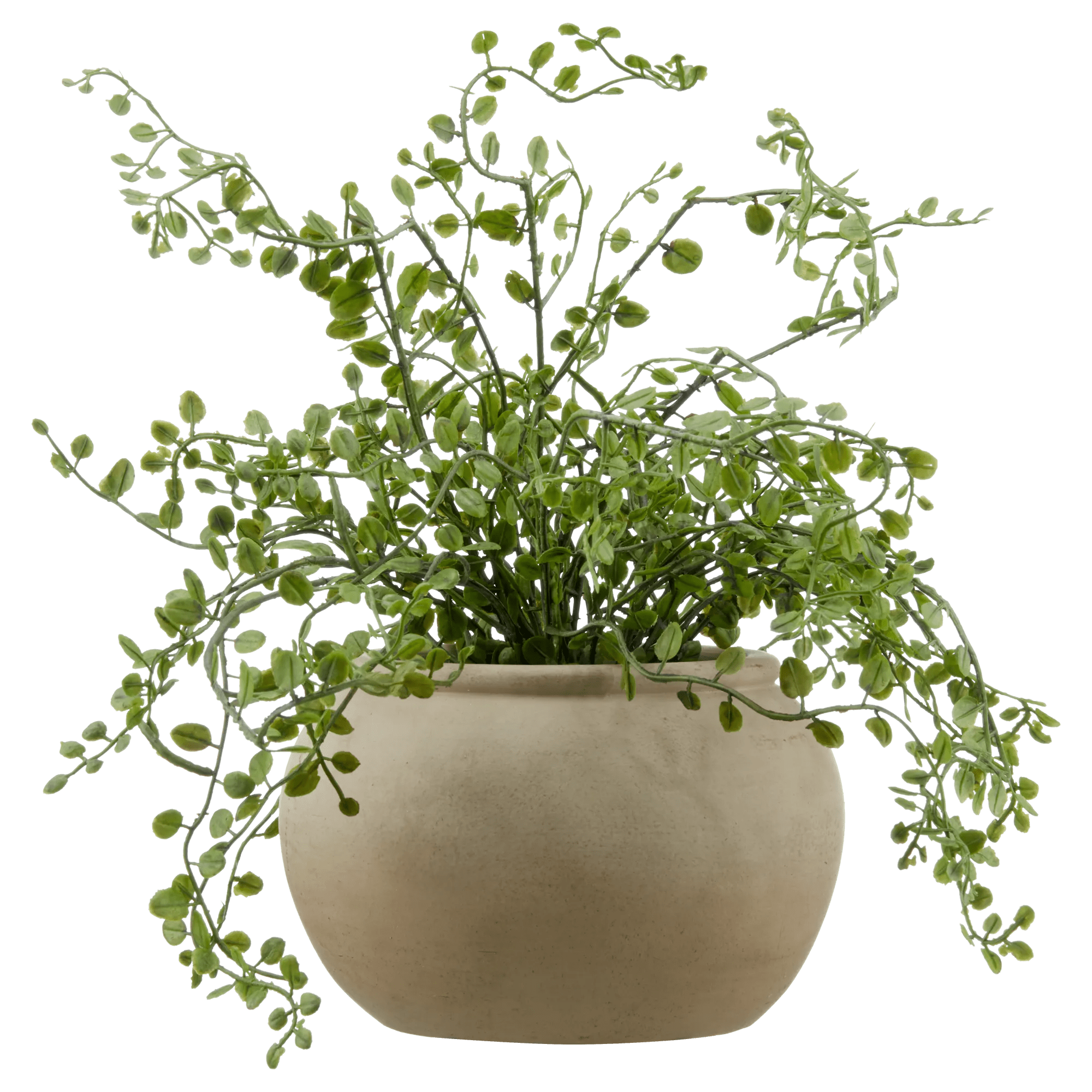 Artificial Fern