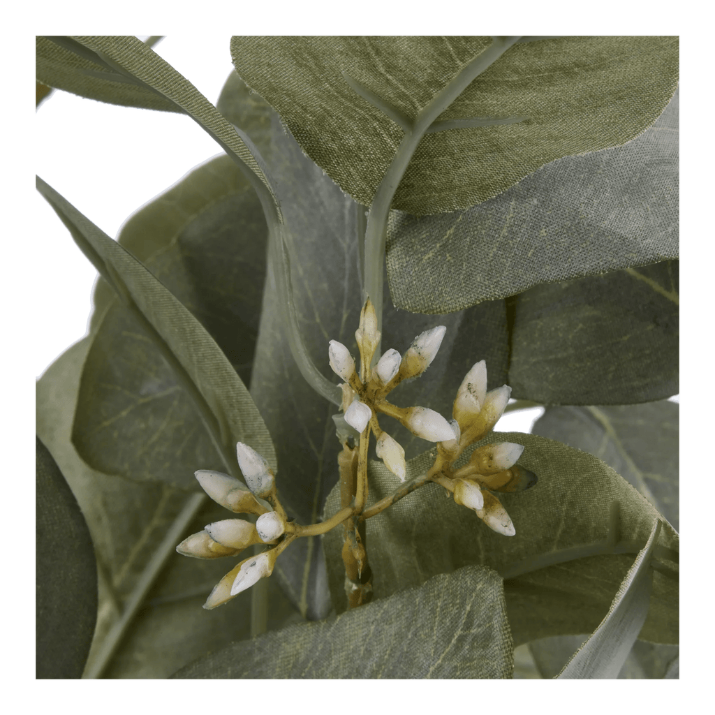 Aritificial Eucalyptus Plant in Ceramic Pot