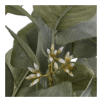 Aritificial Eucalyptus Plant in Ceramic Pot