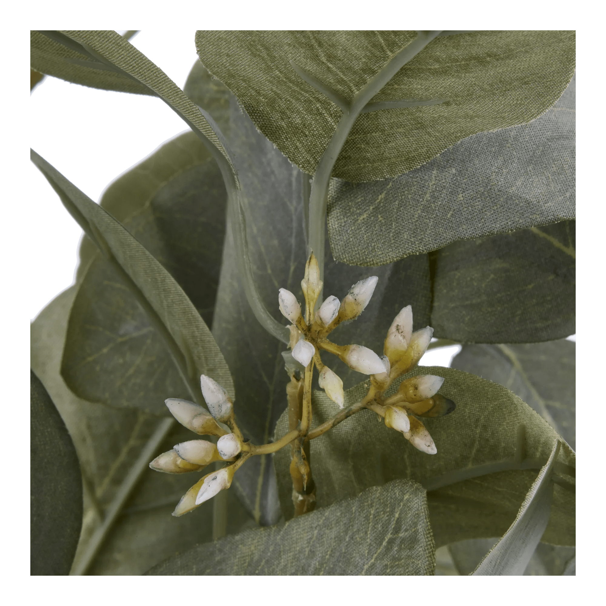 Aritificial Eucalyptus Plant in Ceramic Pot