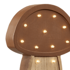 Set of 2 Decorations with Light