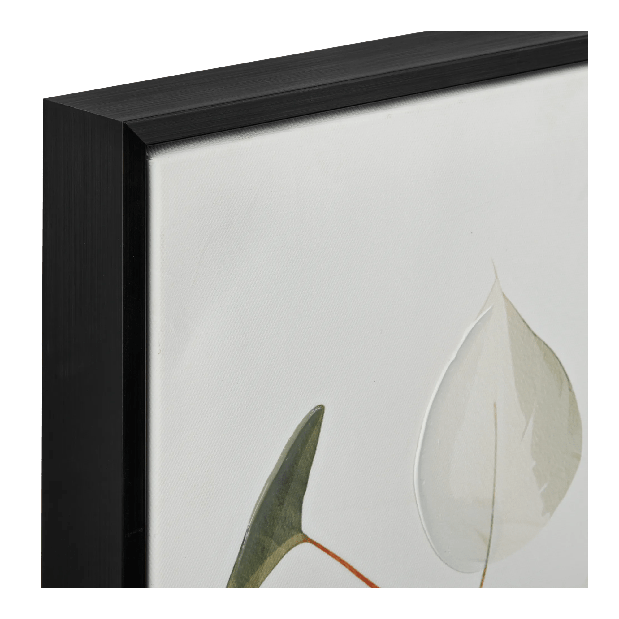 Soft Eucalyptus Framed Art