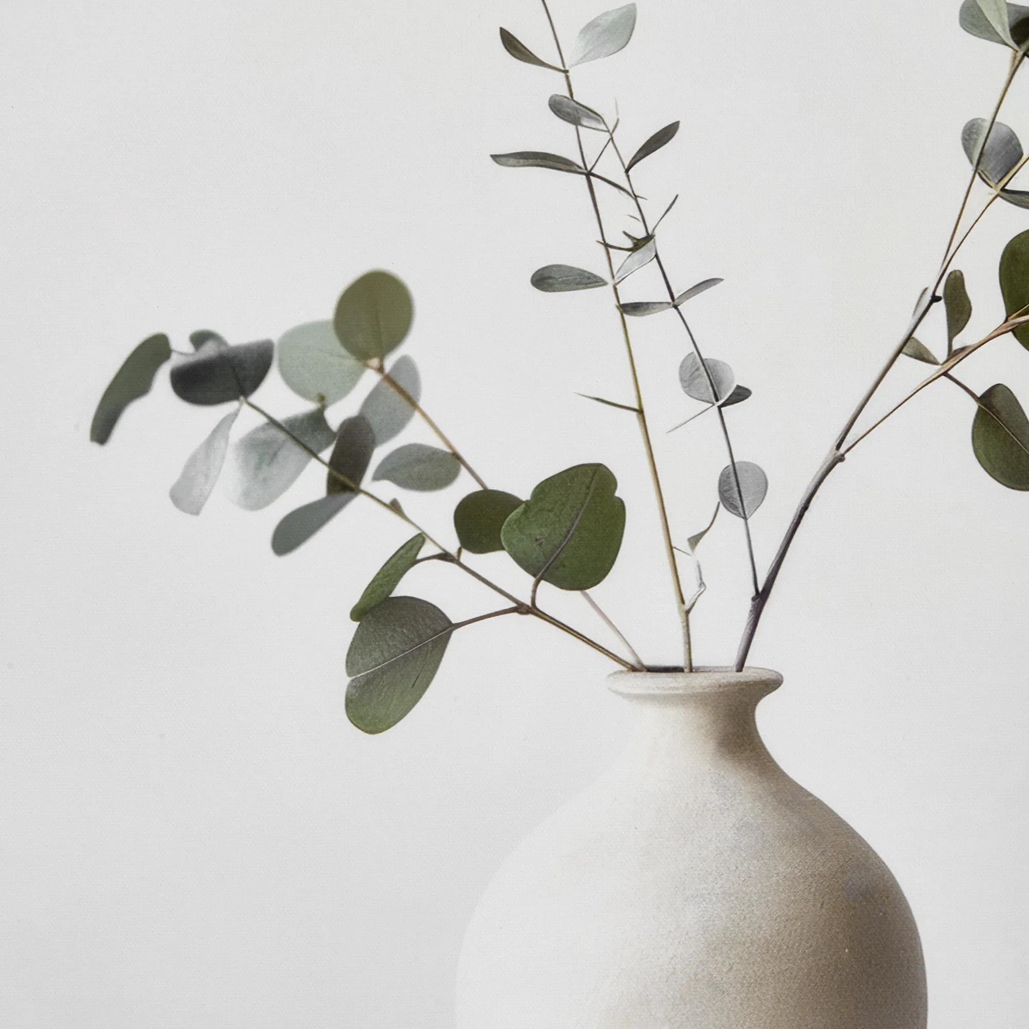 Eucalyptus in a Vase Framed Art