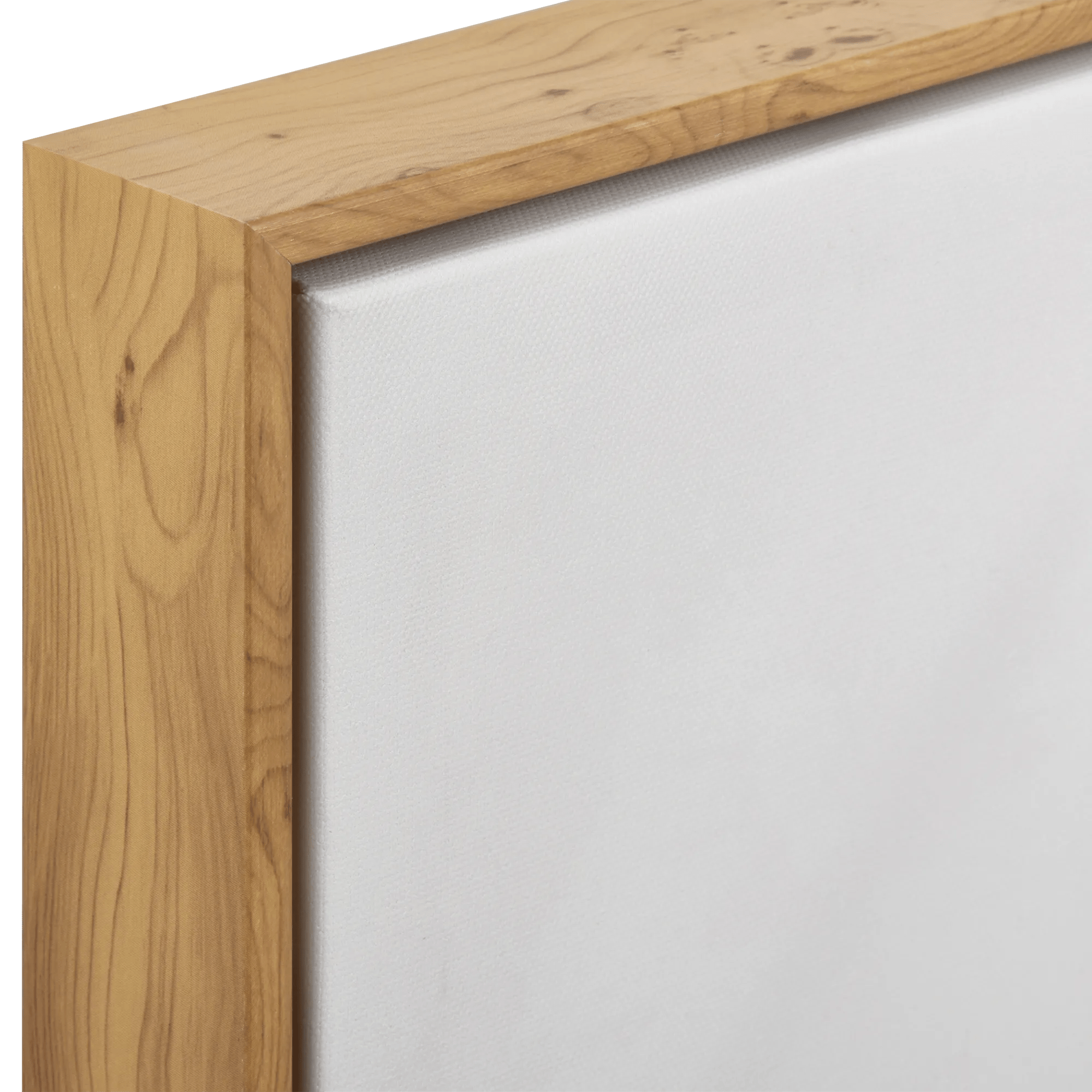 Eucalyptus in a Vase Framed Art