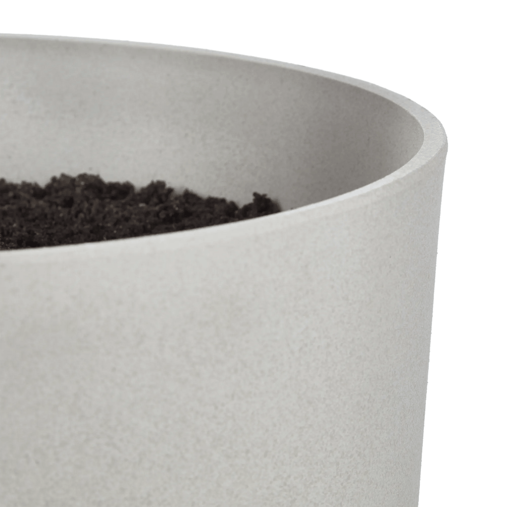 Artificial Ficus Tree