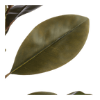 Artificial Ficus Tree