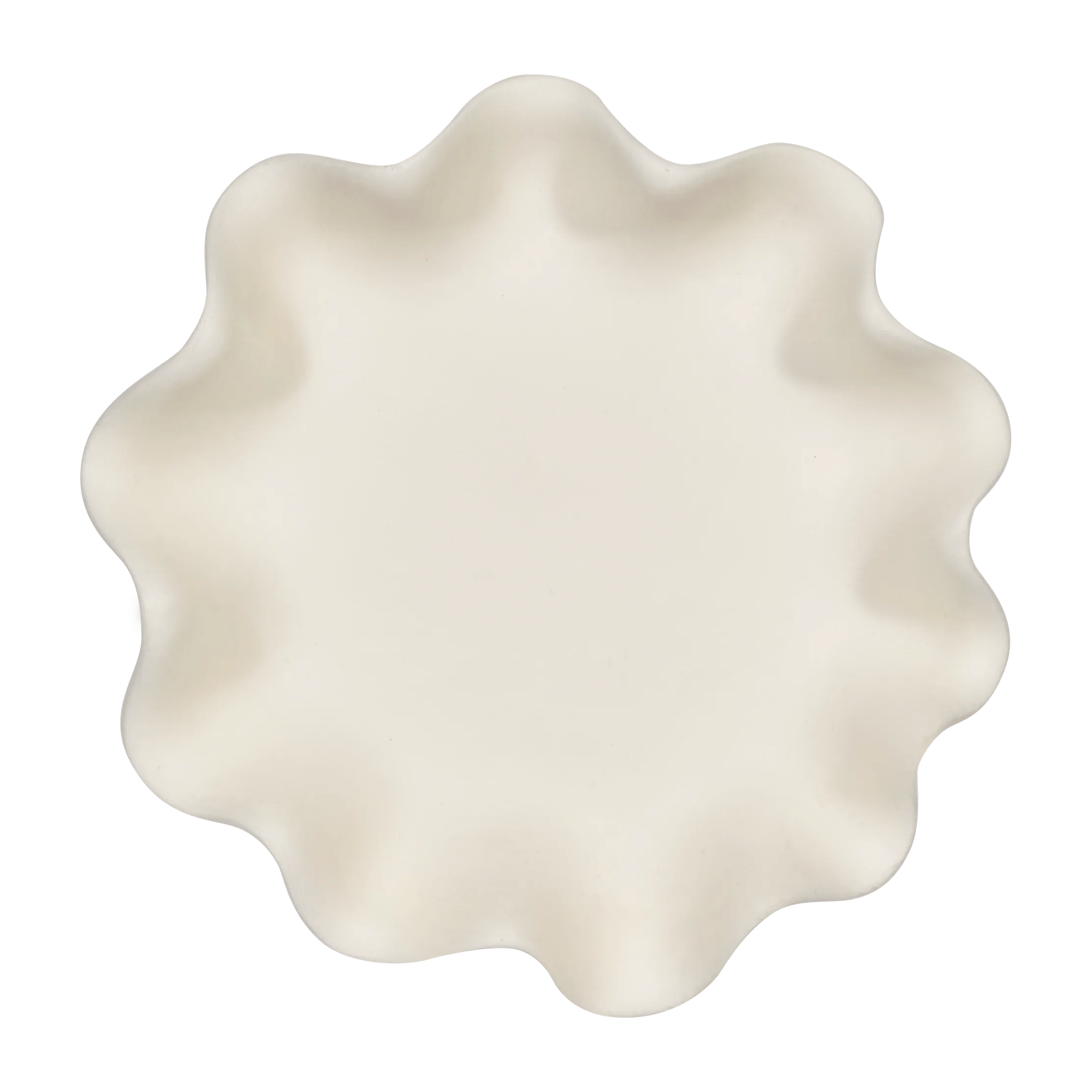 Shell Decorative Bowl