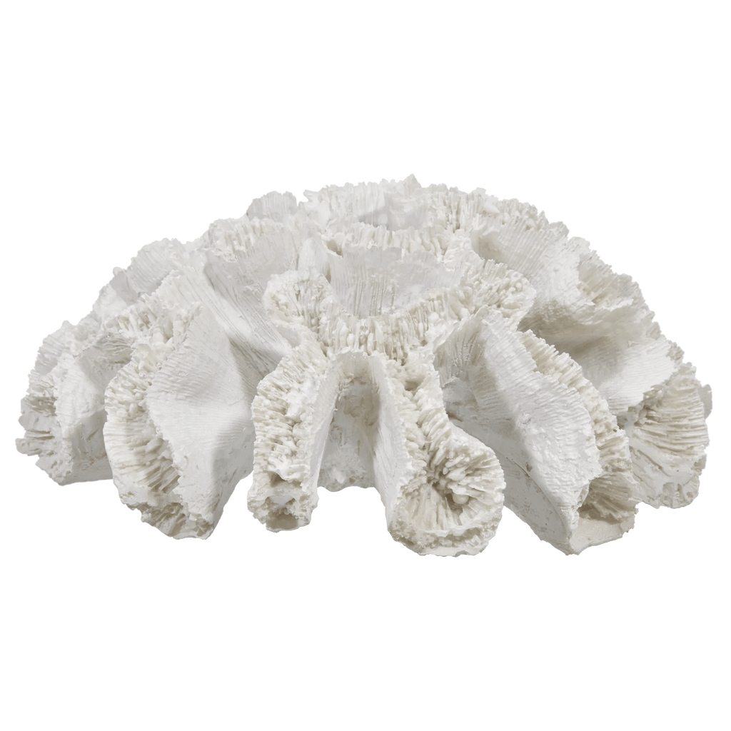 Decorative Coral