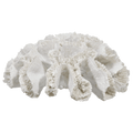 Decorative Coral