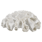 Decorative Coral