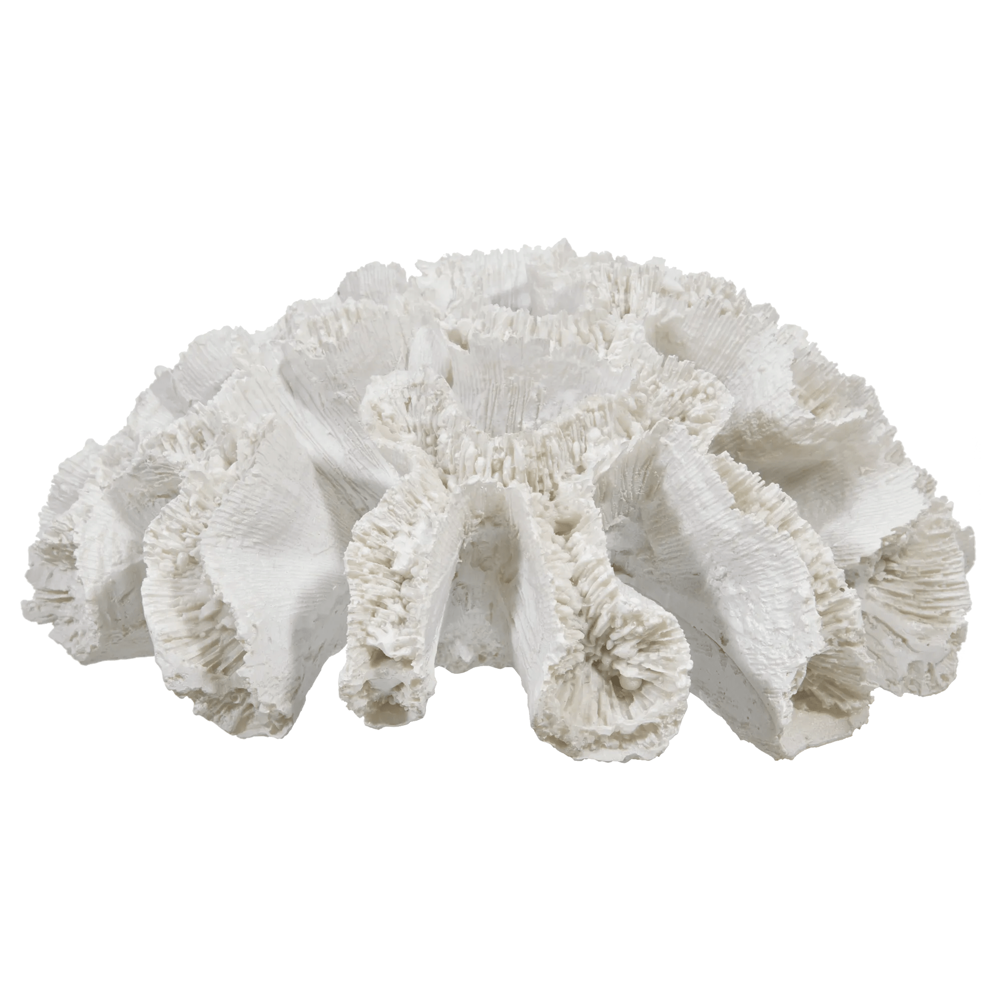 Decorative Coral