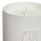 Eucalyptus Mint Candle - Aroma Lab