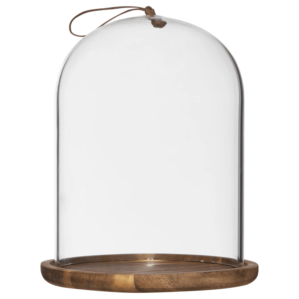 Glass Dome with Wood Base