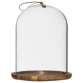 Glass Dome with Wood Base
