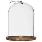 Glass Dome with Wood Base