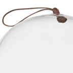 Glass Dome with Wood Base