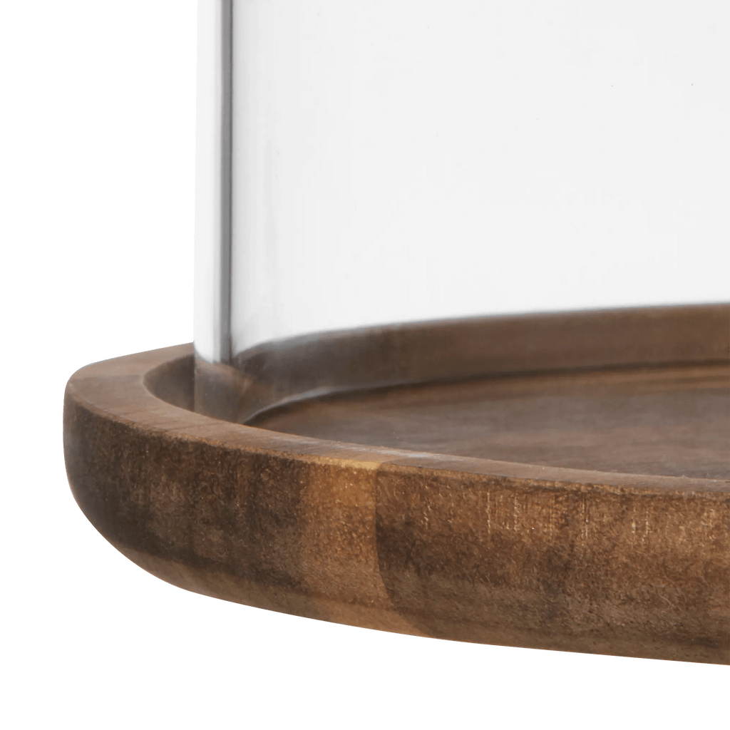 Glass Dome with Wood Base