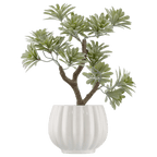 Lotus in Ceramic Pot