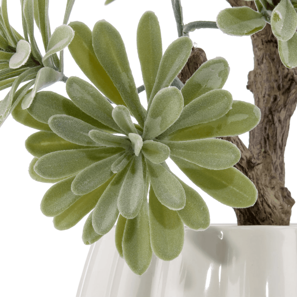 Lotus in Ceramic Pot