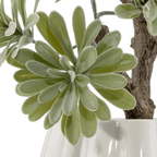 Lotus in Ceramic Pot