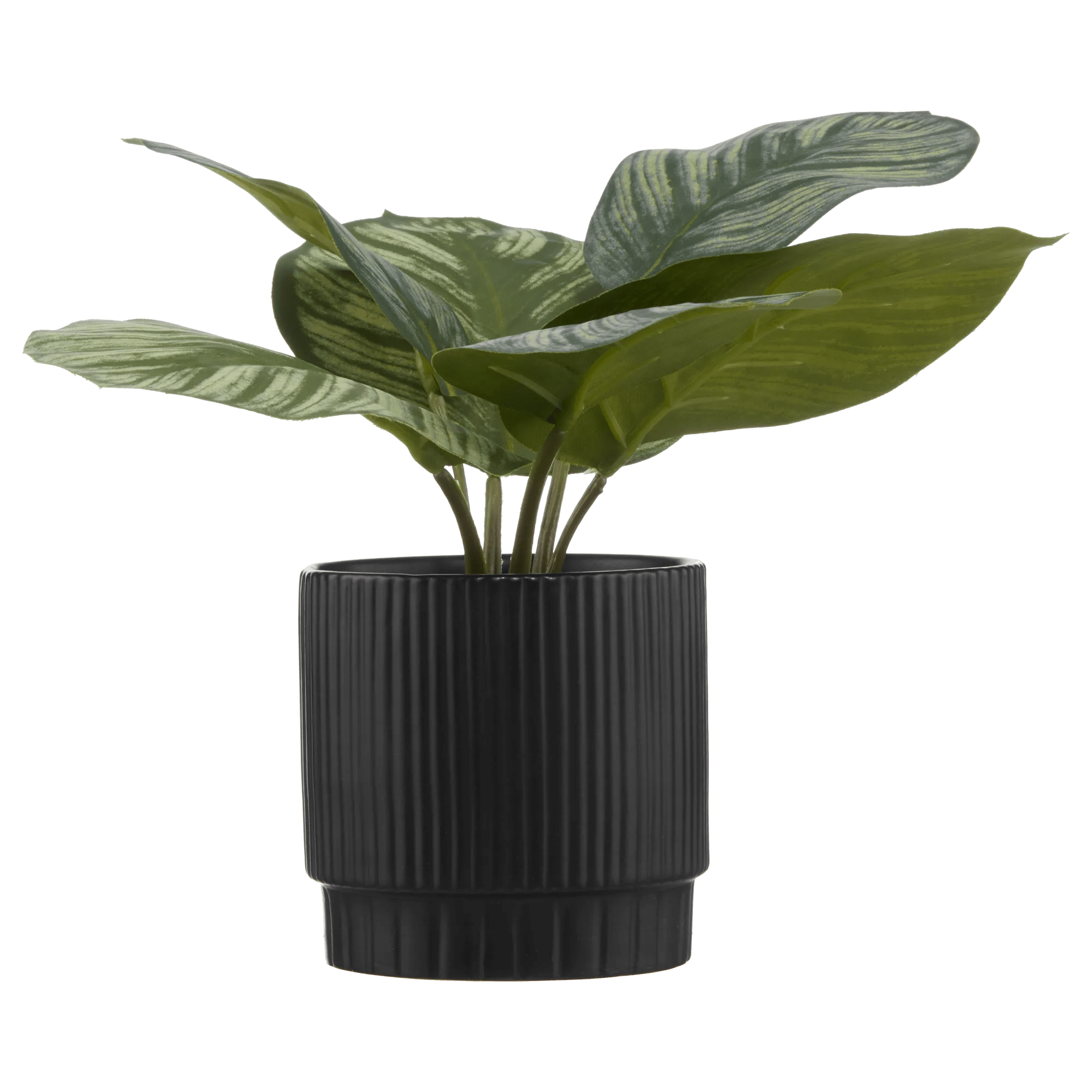 Artificial Plant in Striped Ceramic Pot