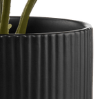 Artificial Plant in Striped Ceramic Pot