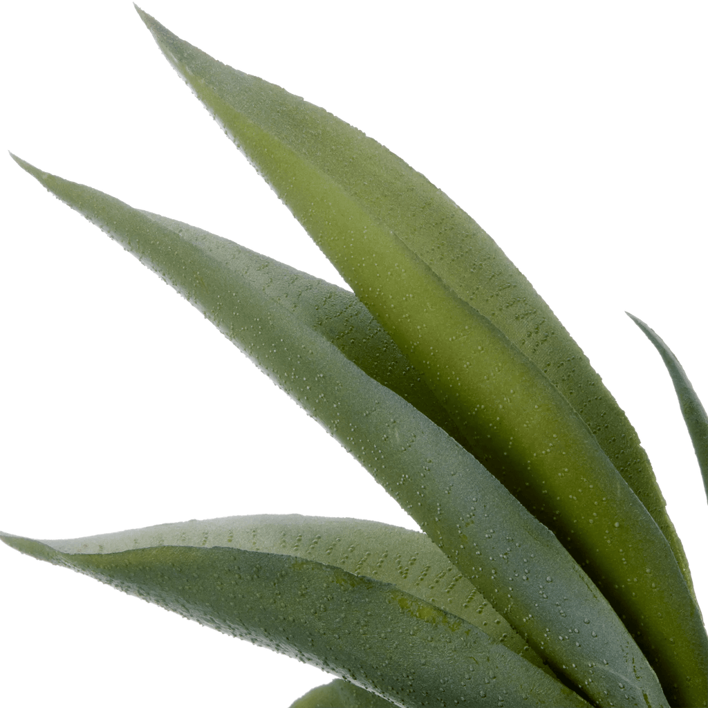 Artificial Aloe in Ceramic Pot
