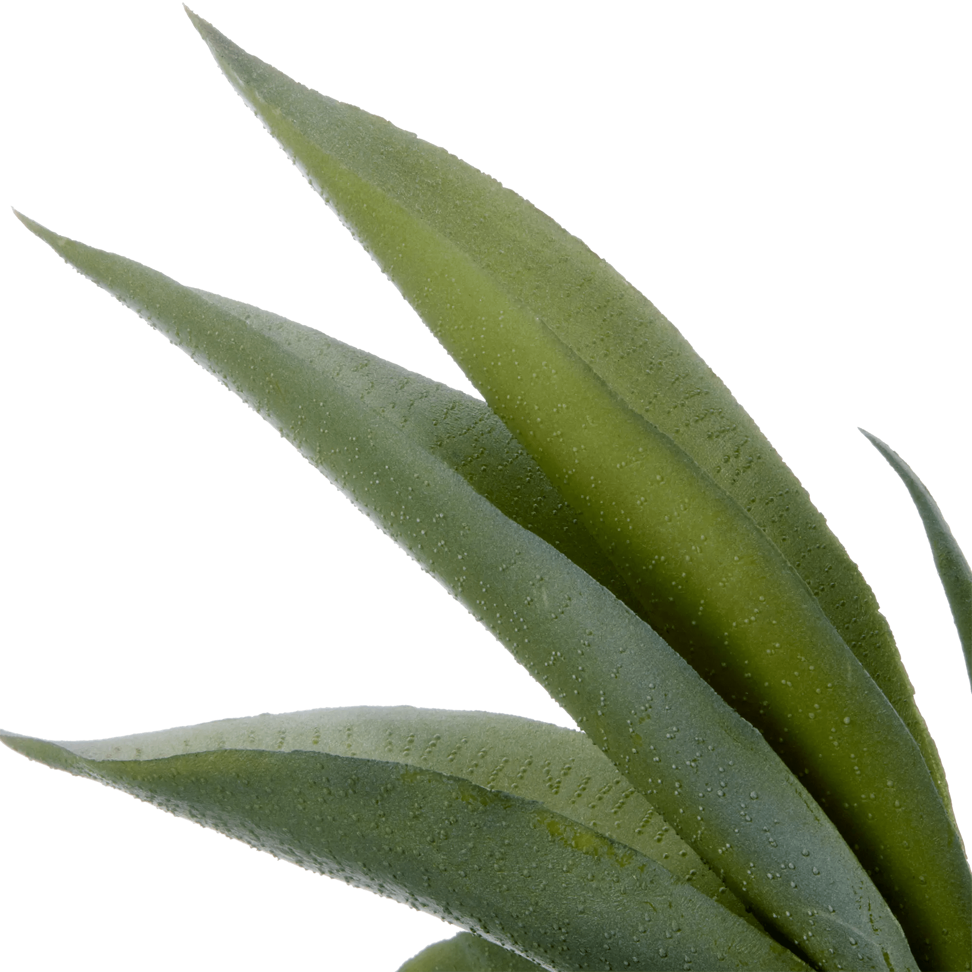 Artificial Aloe in Ceramic Pot