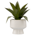 Artificial Aloe in Ceramic Pot