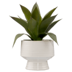 Artificial Aloe in Ceramic Pot