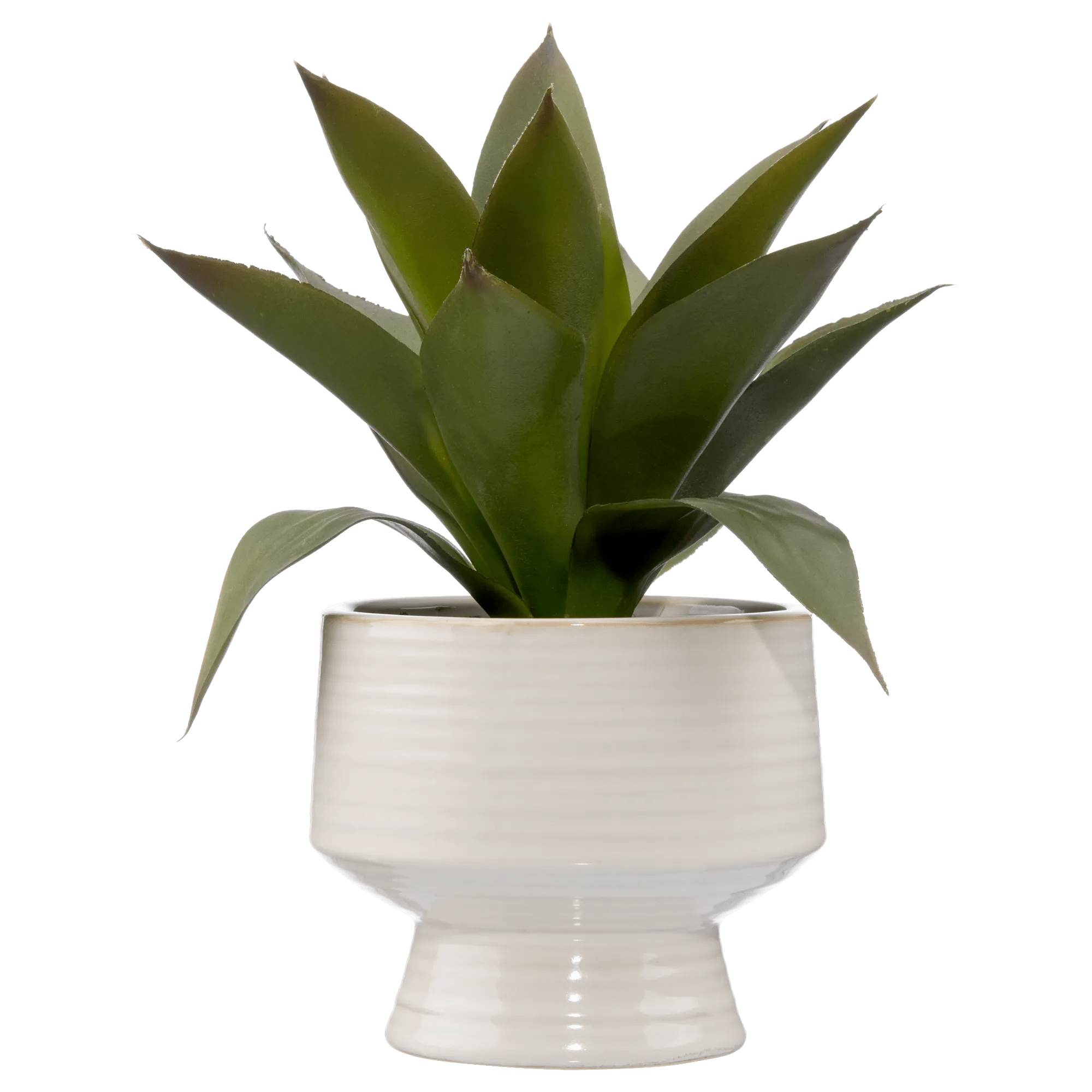 Artificial Aloe in Ceramic Pot