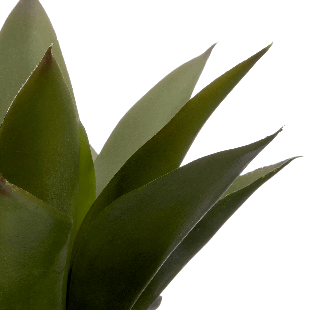 Artificial Aloe in Ceramic Pot