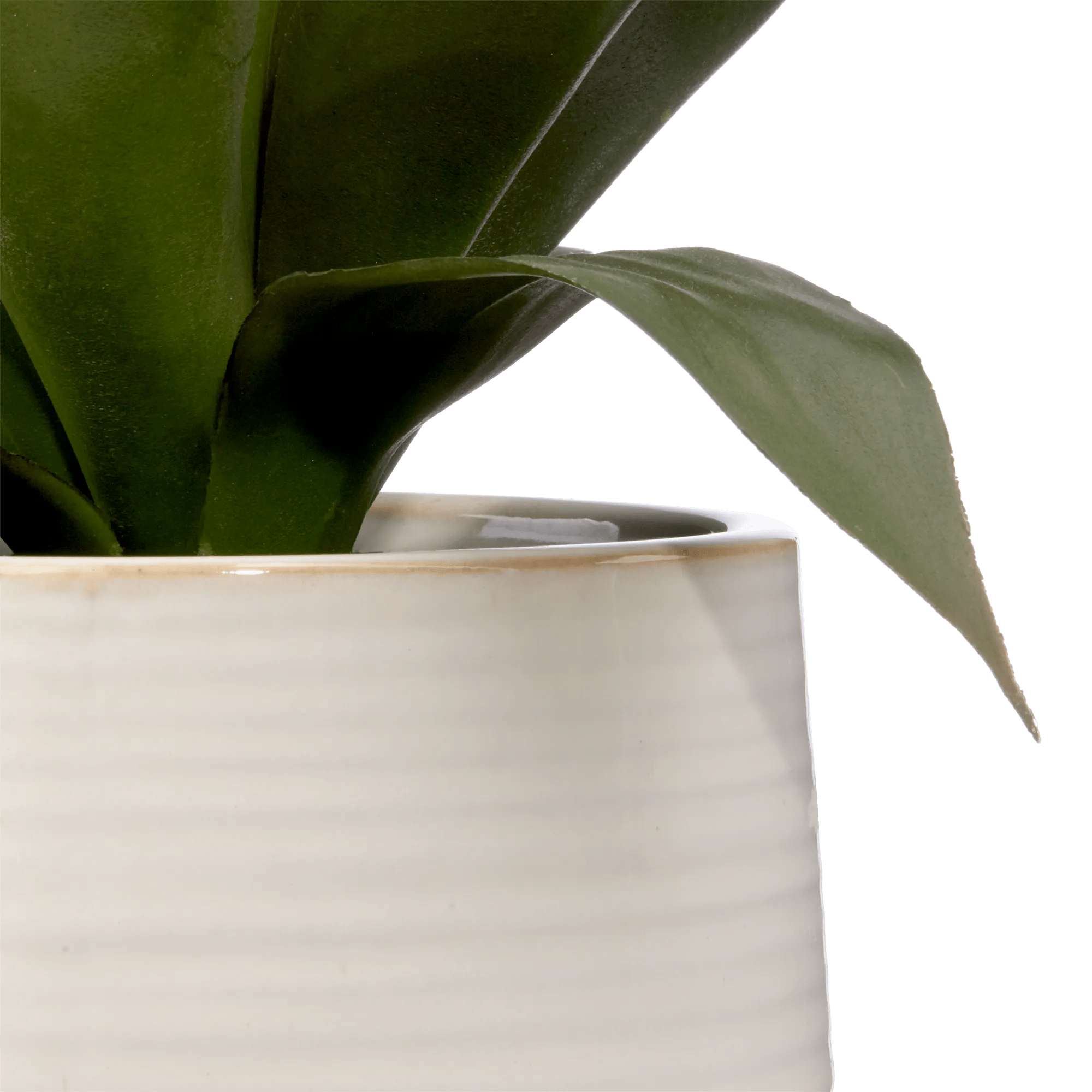 Artificial Aloe in Ceramic Pot