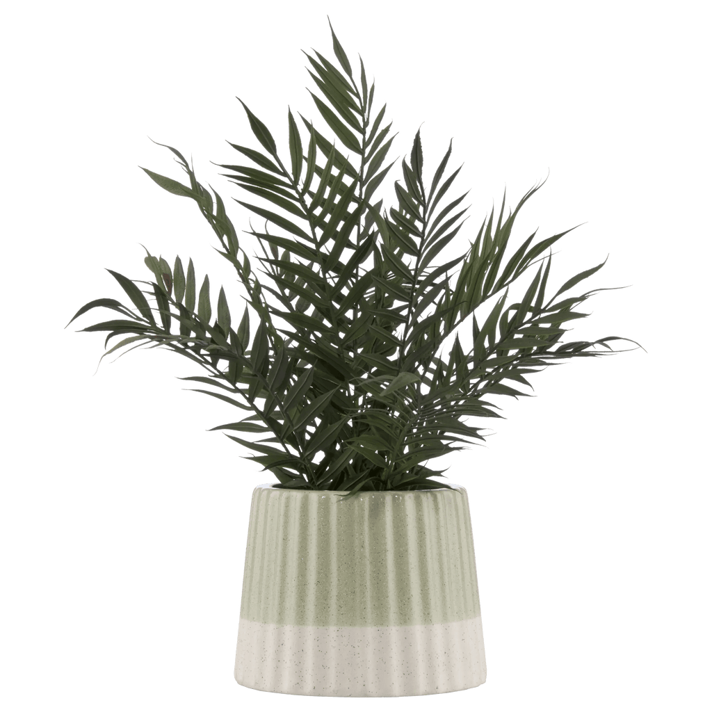 Artificial Fern in Ceramic Pot