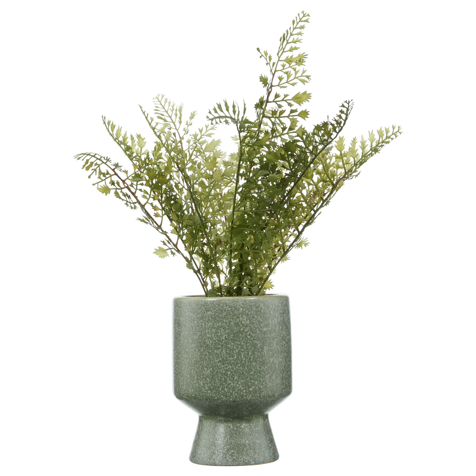 Artificial Fern in Ceramic Pot