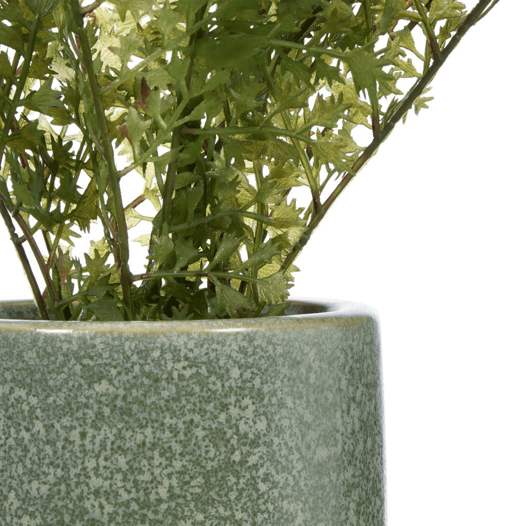 Artificial Fern in Ceramic Pot
