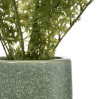 Artificial Fern in Ceramic Pot
