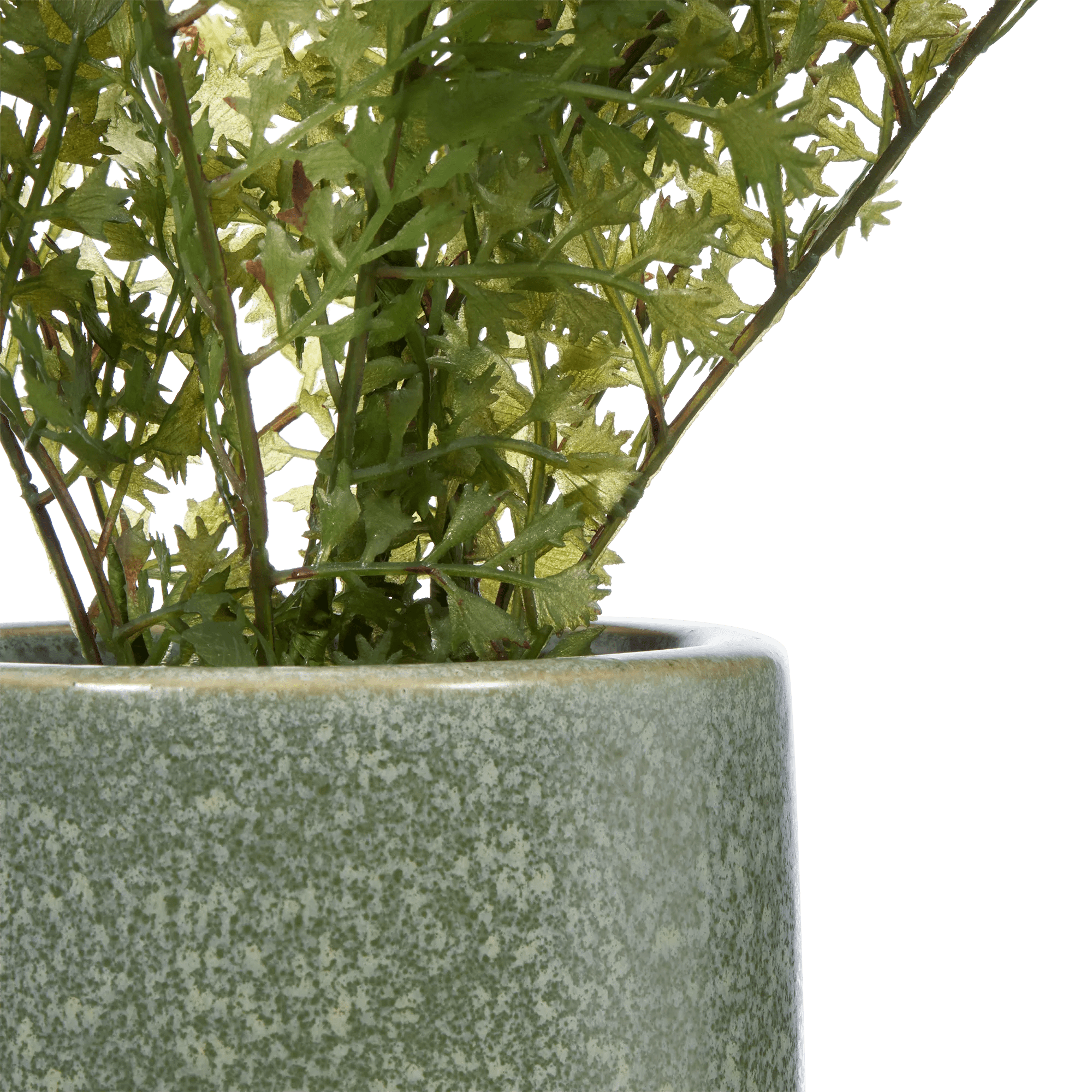 Artificial Fern in Ceramic Pot