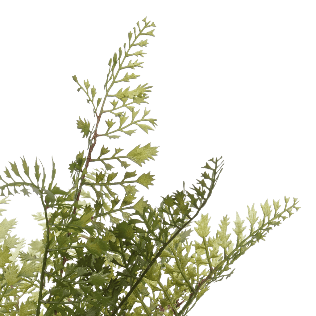 Artificial Fern in Ceramic Pot