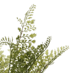 Artificial Fern in Ceramic Pot