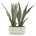 Artificial Plant in Ceramic Pot