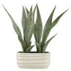 Artificial Plant in Ceramic Pot