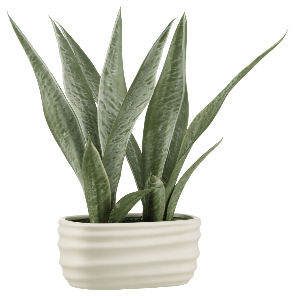 Artificial Plant in Ceramic Pot