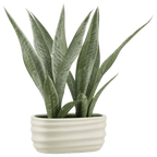 Artificial Plant in Ceramic Pot